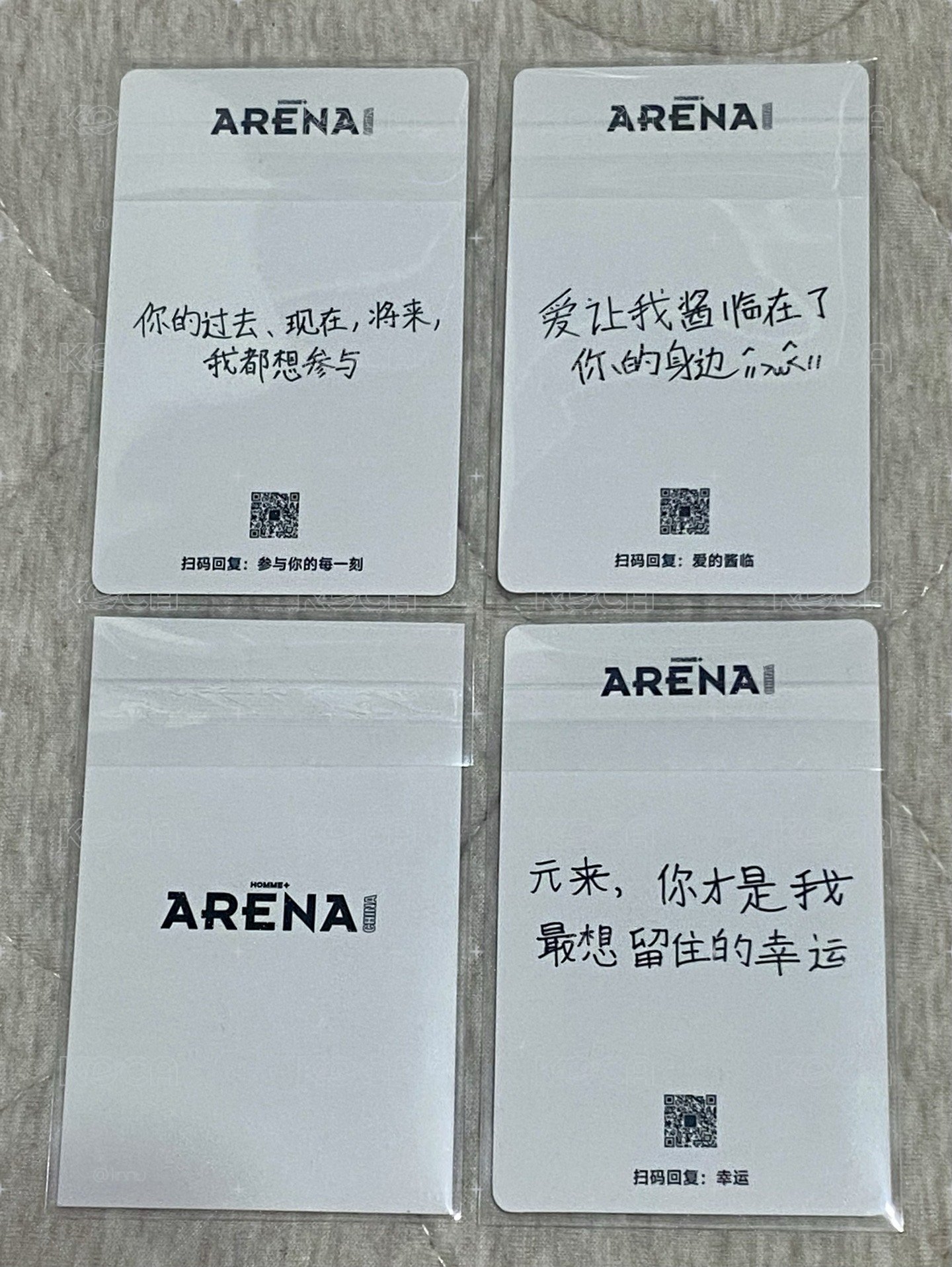 🦦小盤