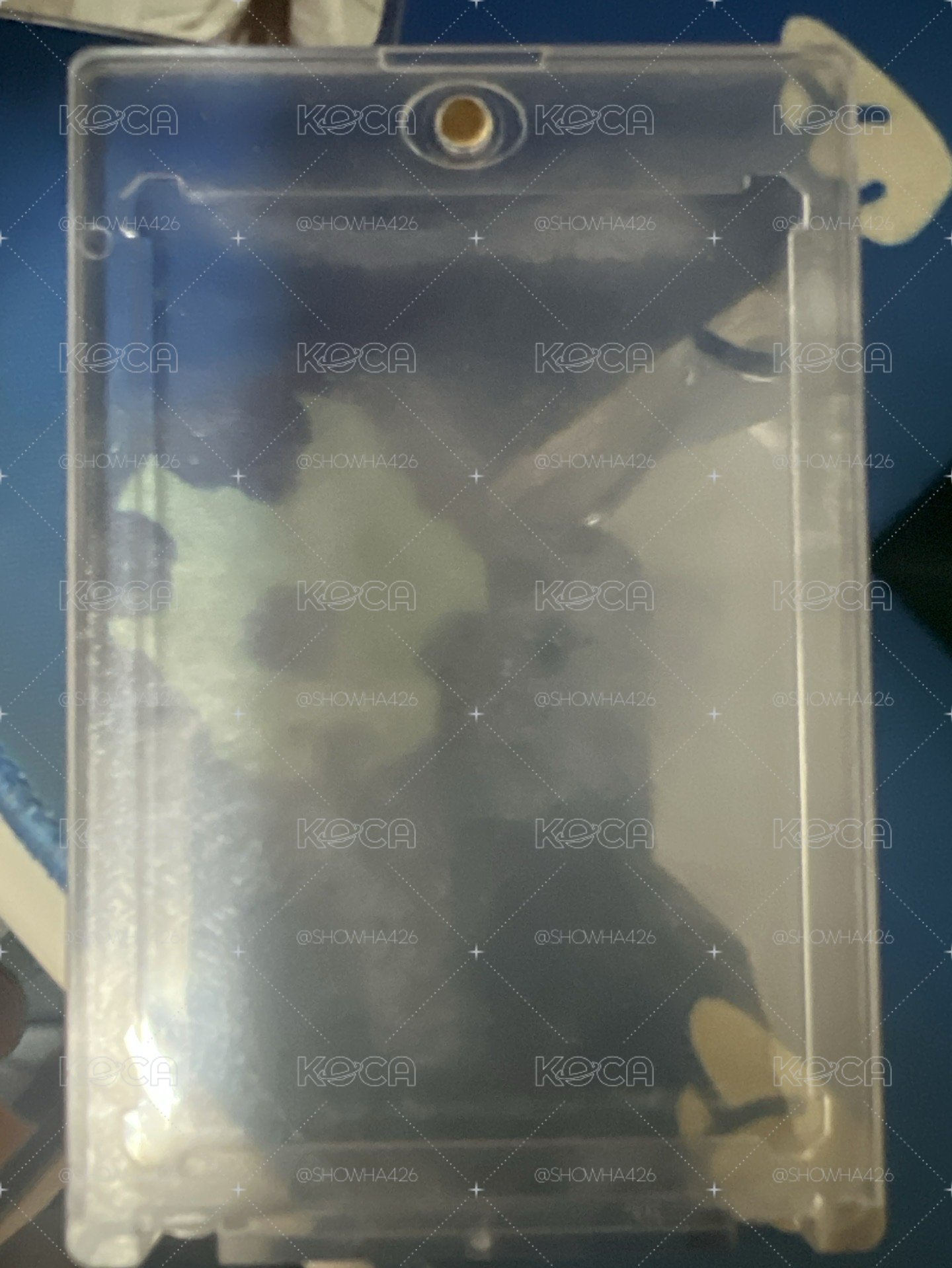 溫感嫄