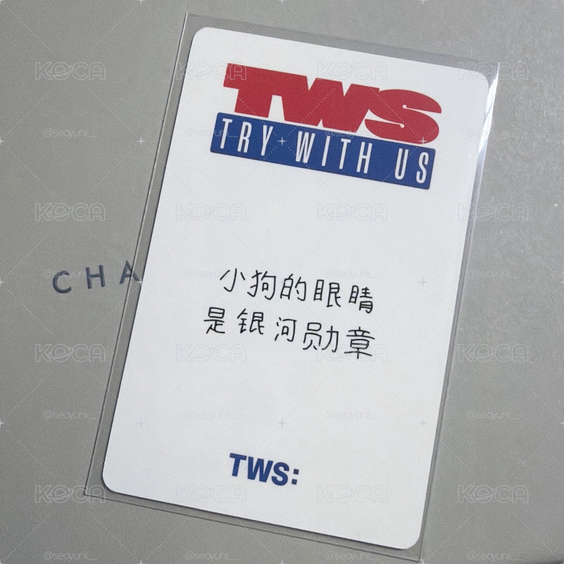 道勳上海yzy中文卡背