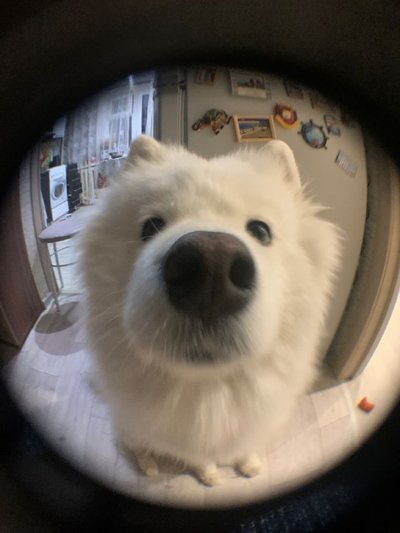 包材加購
