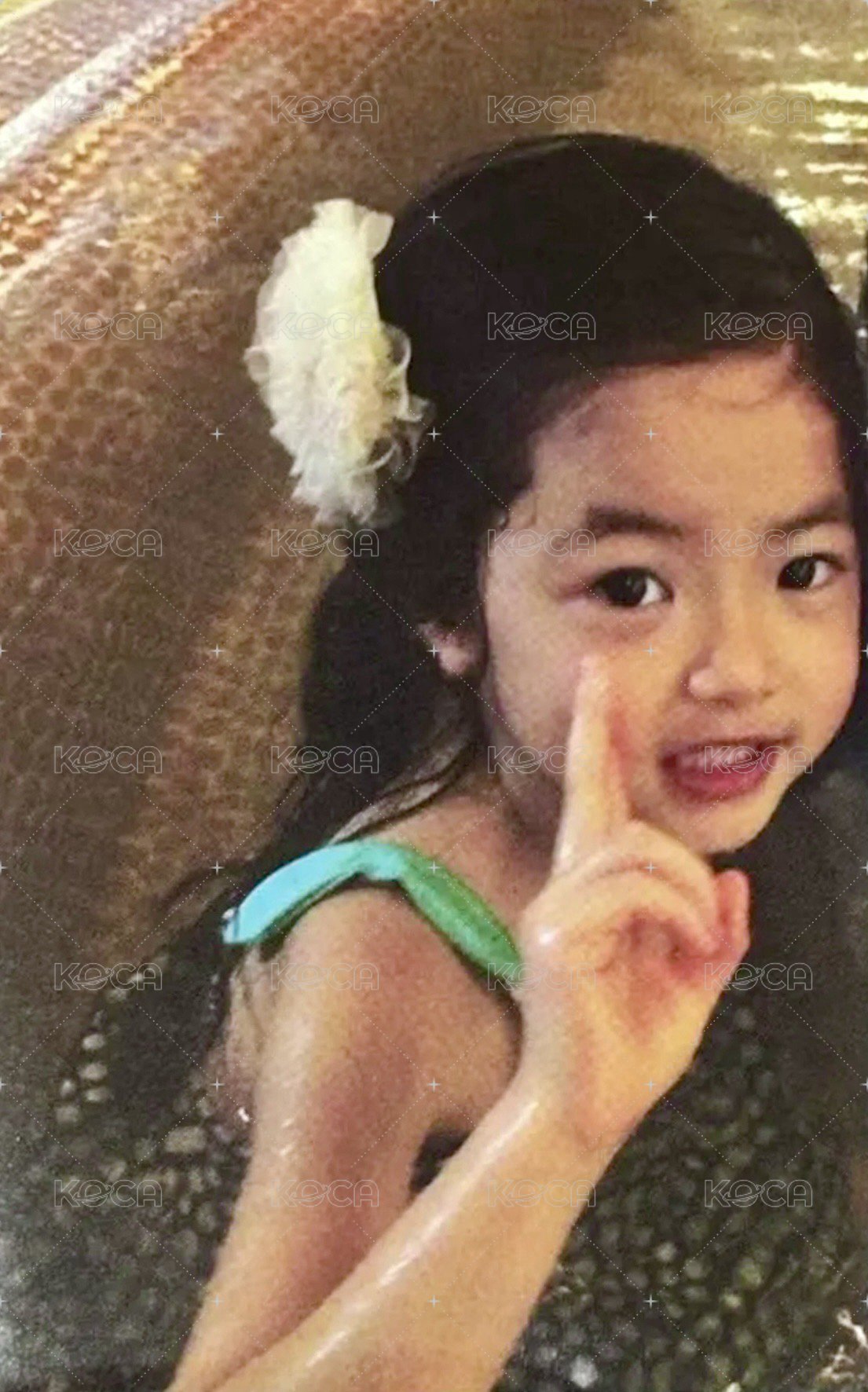 PUREFLOW celebration預錄(sbs) 打歌卡 寶寶卡 背面