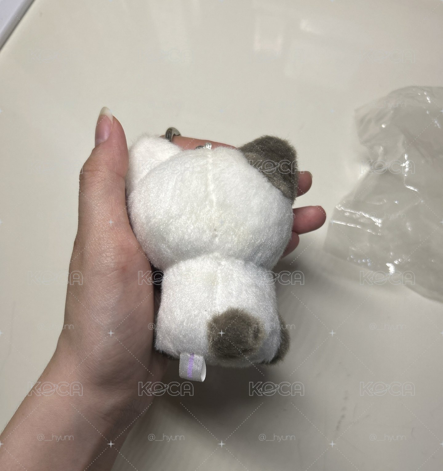 志坐姿娃🐈‍⬛