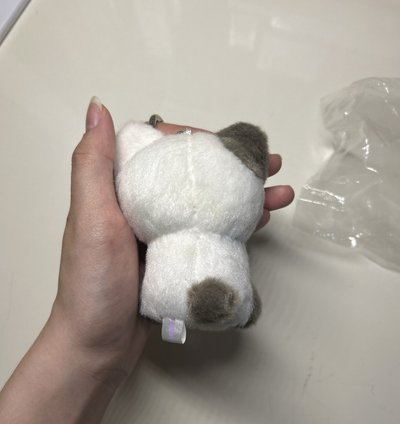 志坐姿娃🐈‍⬛