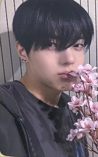 𝑻𝑯𝑬 1𝑺𝑻 𝑴𝑰𝑵𝑰 𝑨𝑳𝑩𝑼𝑴 : 𝑹𝑶𝑪𝑲 𝑻𝑯𝑬 𝑵𝑨𝑻𝑰𝑶𝑵 el 特典卡 櫻花