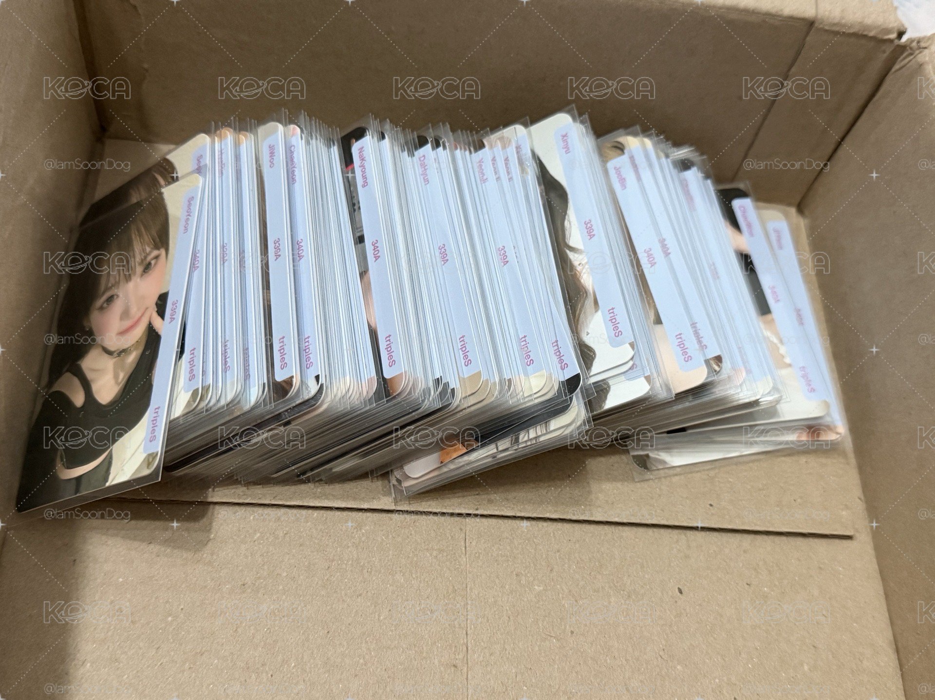 S17 場限兩套