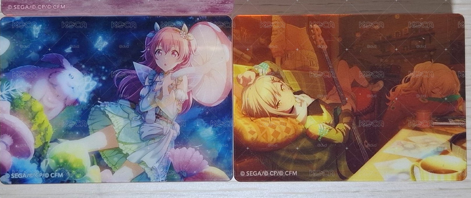 世界計畫 厚磚
