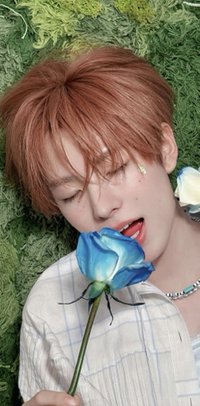 Hoya