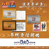 疾風伝 動畫 設定資料集