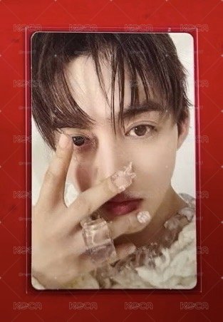 SEVENTEEN HBD 正規五輯 崔勝喆 專卡