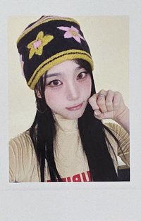msnz am PB預售 特典卡 