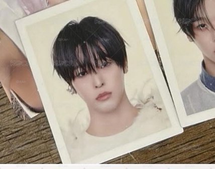 白版陸證件照