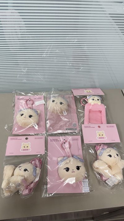 ［全新現貨］BLACKPINK DEADLIBE周邊 搖滾娃 長腿娃 高陽娃 大頭鏡子 大頭徽章 卡冊 卡套 手燈揹帶