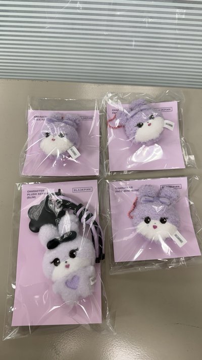 ［全新現貨］BLACKPINK DEADLIBE周邊 搖滾娃 長腿娃 高陽娃 大頭鏡子 大頭徽章 卡冊 卡套 手燈揹帶