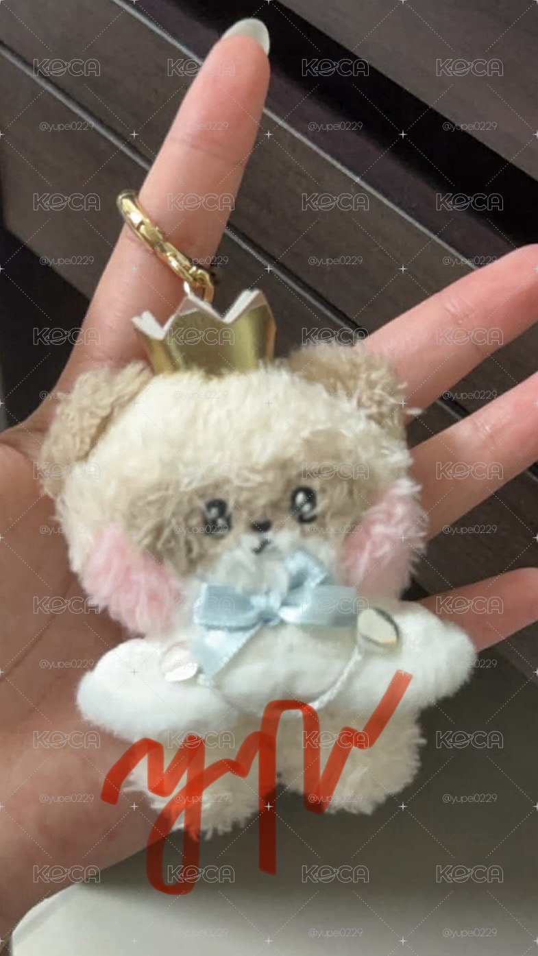 昊王子含綁
