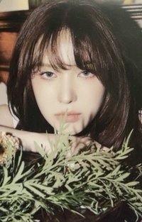 Birthday 周邊卡 吊飾溫