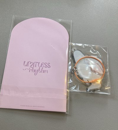 1元起標活動 DICON恩採吊飾+人生四格