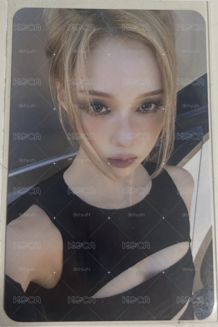 MS預售冬
