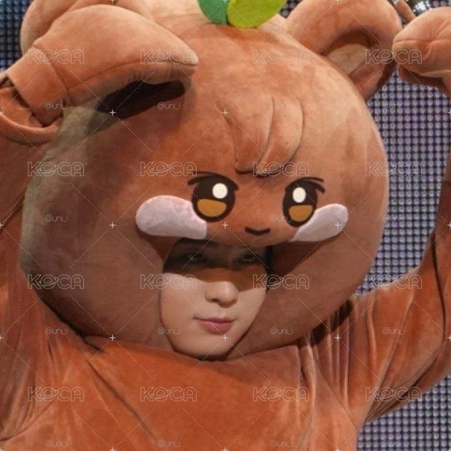 熊寶貝🐻