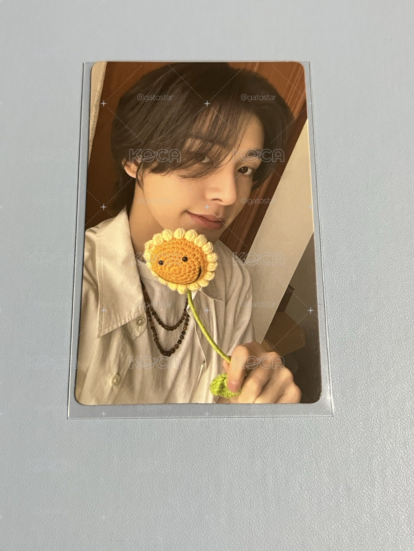 太陽花🌻和金毛最搭了