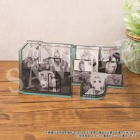 疾風伝　TSUNADE2025 綱手生日 紀念新品