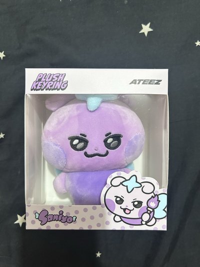 🏴‍☠️mighteez 傘🐱全新含卡