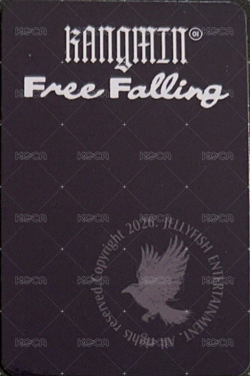 Free Falling oy 線上 幸運卡  背面