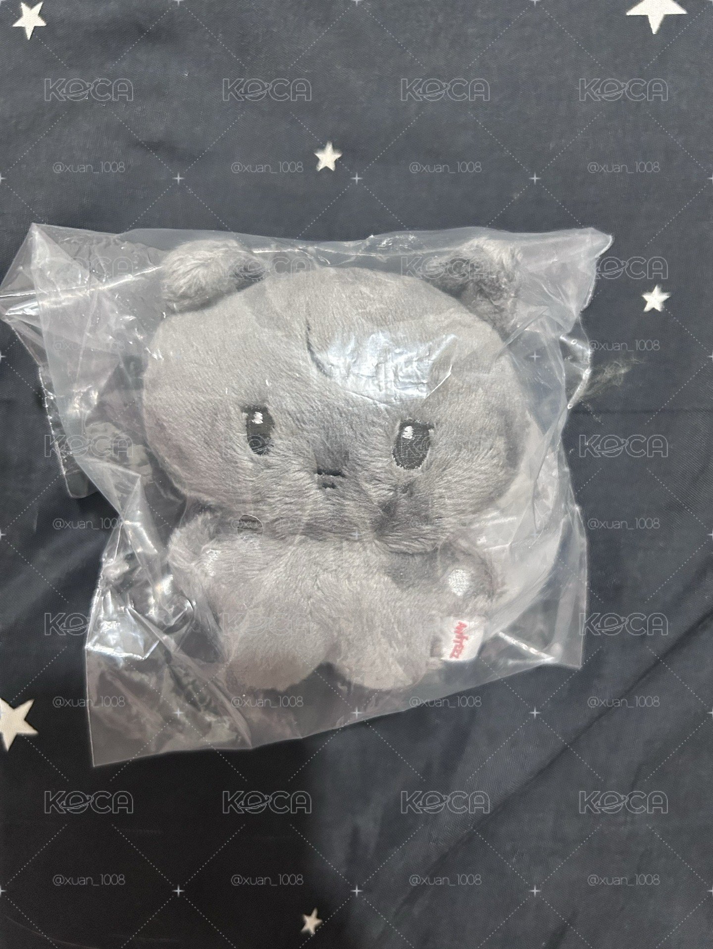 🏴‍☠️寶寶娃榮🐈‍⬛含卡