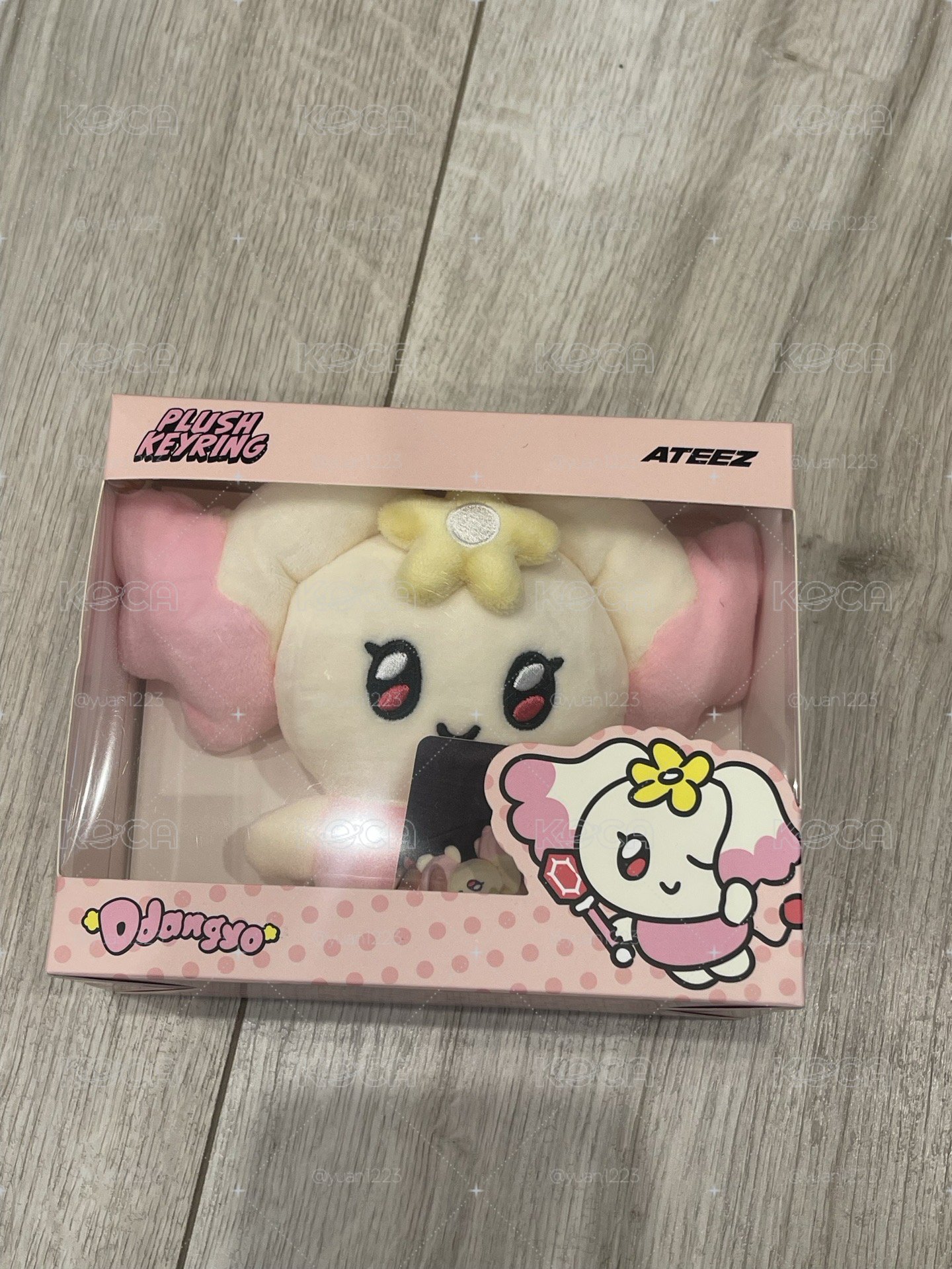 ATEEZ mighteez呦桑