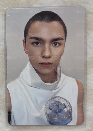 Vernon 🐻‍❄️