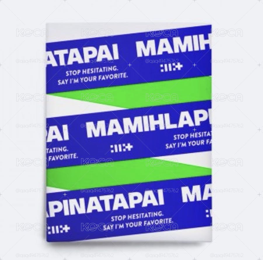 MAMIHLAPINATAPAI 電子專 
