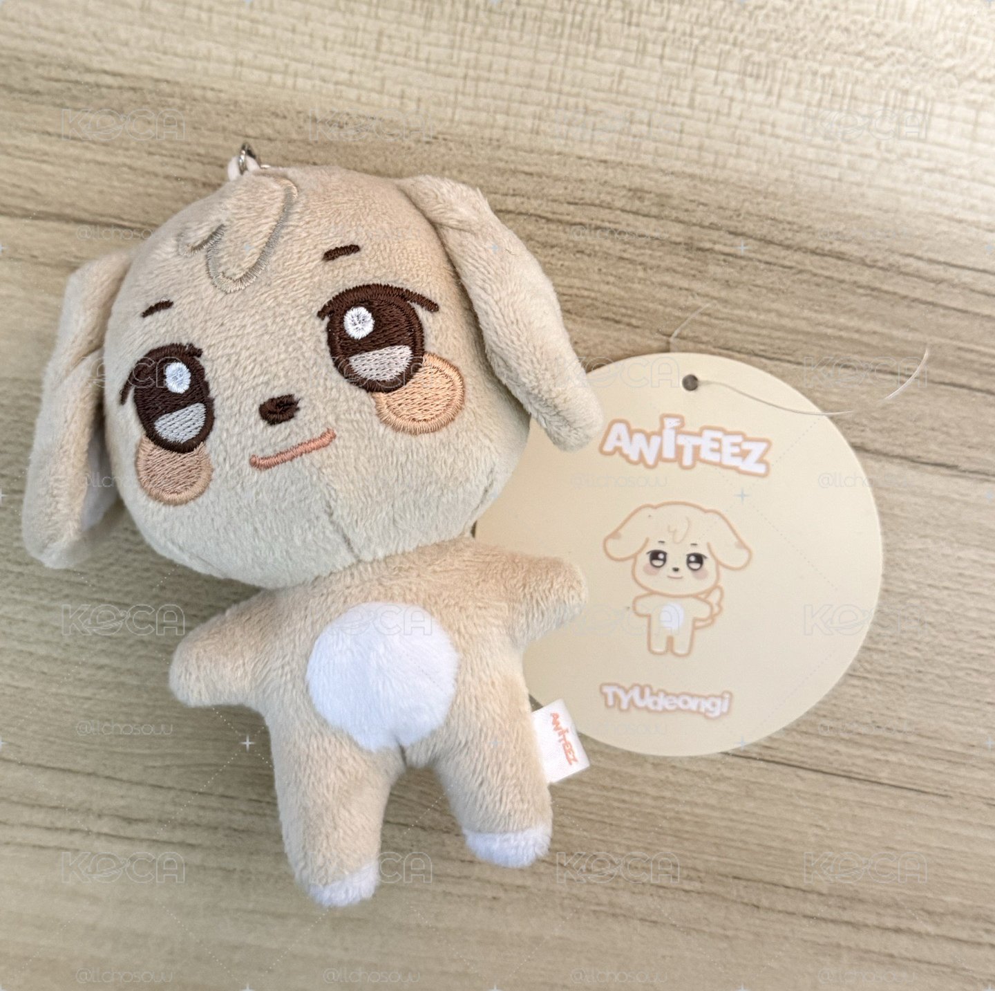 ANITEEZ初代 原皮凸咚伊