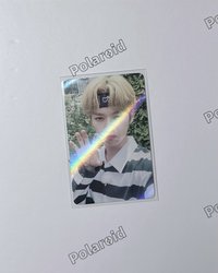 WD貓爪旻
