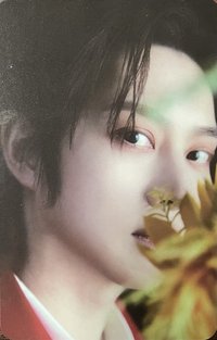 正規11 Vol.1 sm 特典卡 