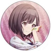 細閃 vol.3 A 徽章 無限灰花前