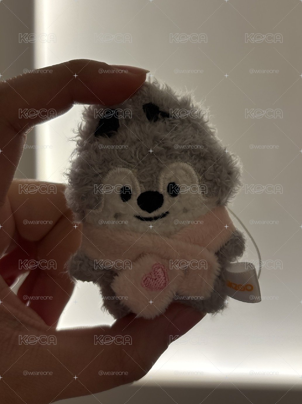 原味狼換草莓狼