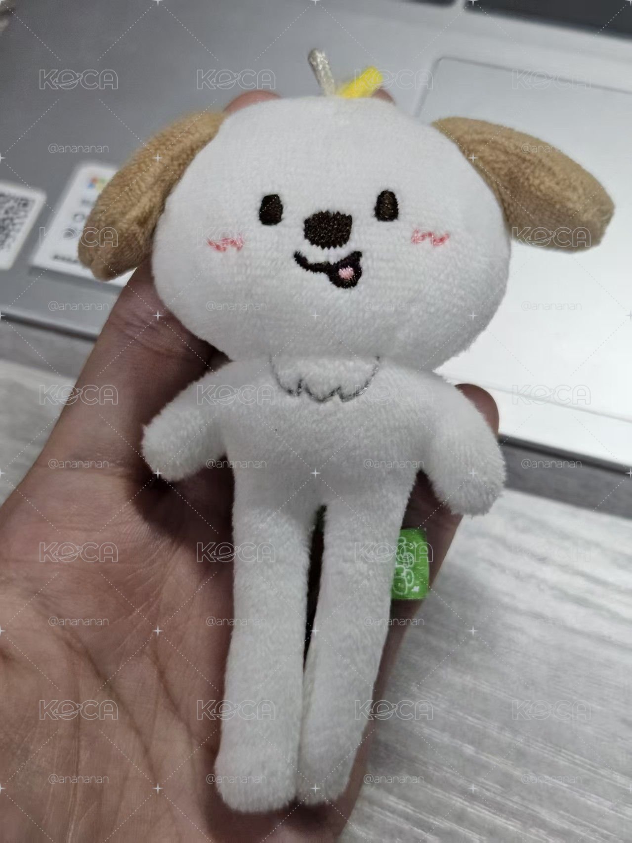 長腿狗龍含綁本體300送卡