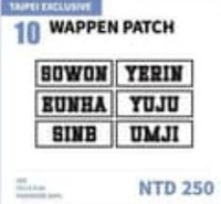 10th CON 其他 (歡迎客服許願) 臂章