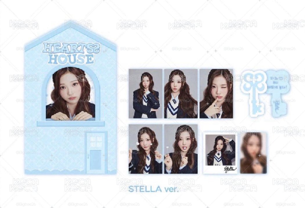 Stella 照片組