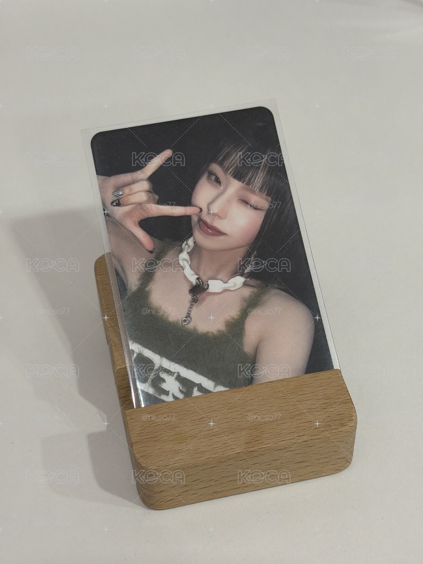 眉上是貓貓的統治地區