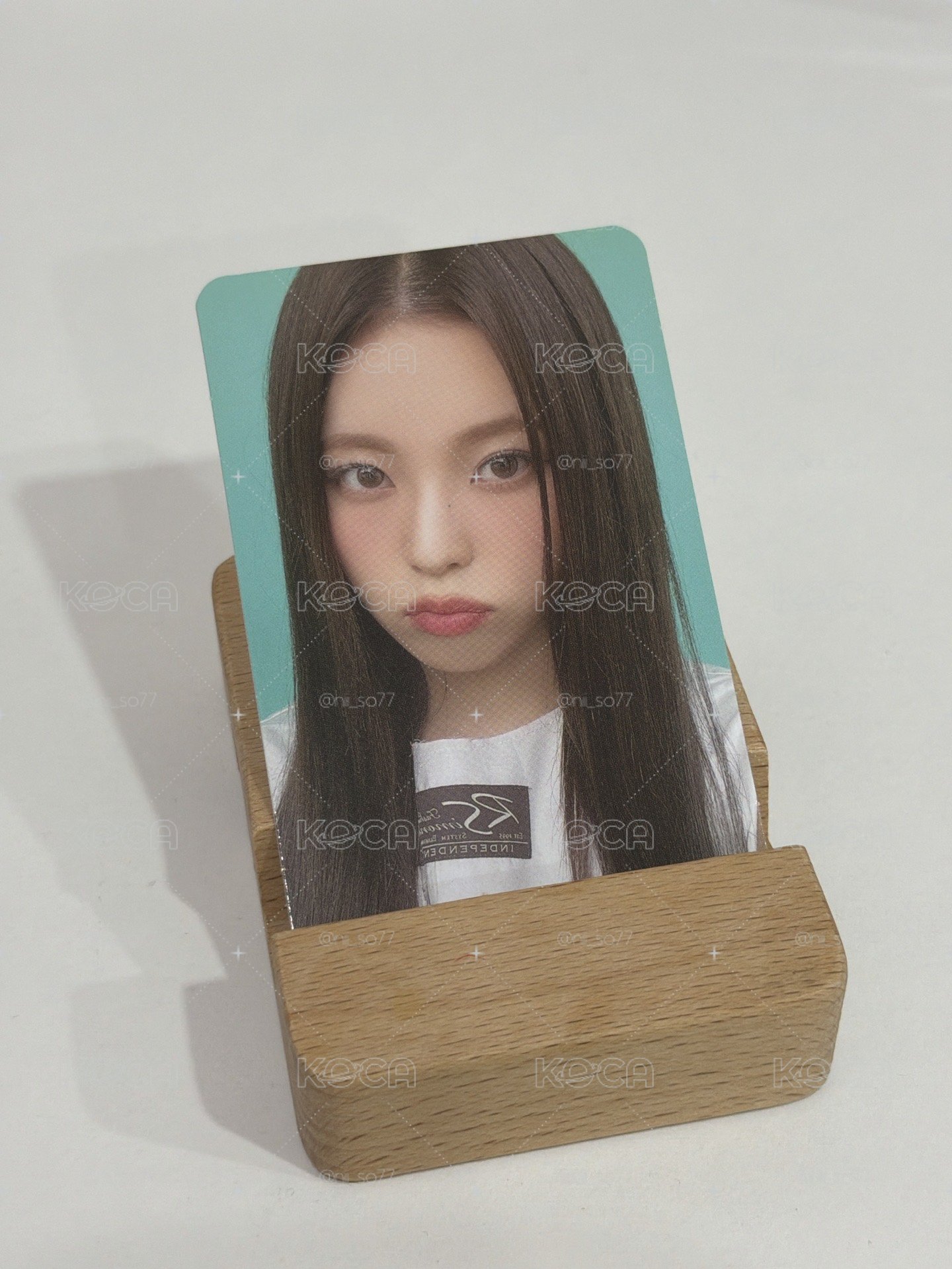 泥的小貓