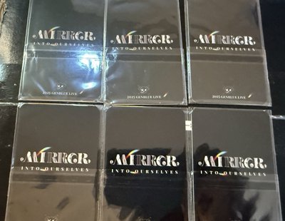 幻藍小熊 2025高流演唱會 特區入場卡MIRROR INTO OURSELVE 入場卡 / 場限卡 全員