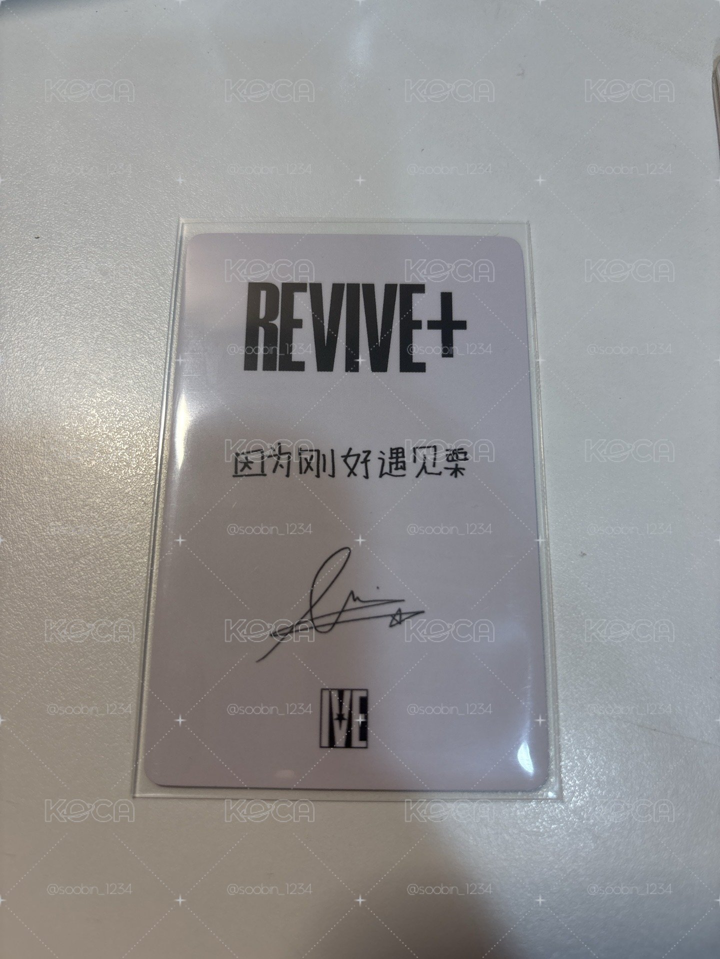 栗中背