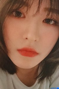 Day 2 專輯卡 
