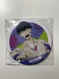 油漆100mm大徽章