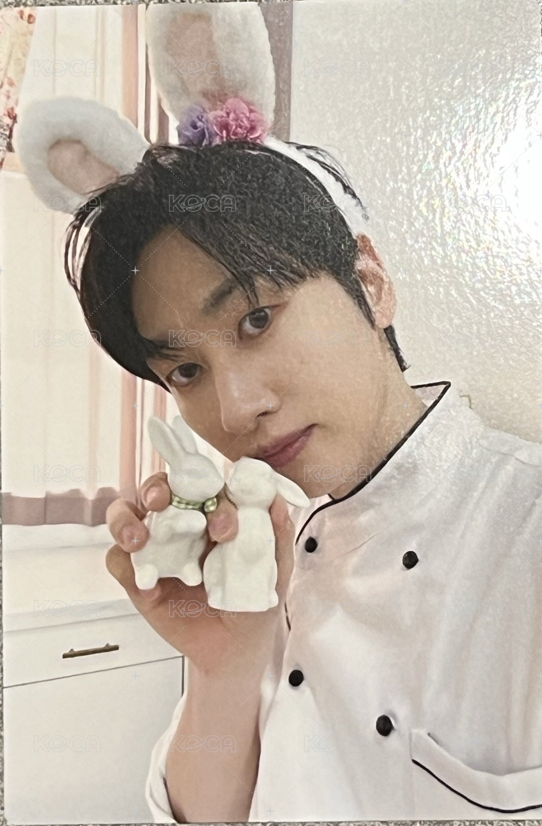赫兔拿小兔🐰