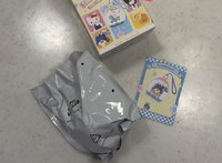 山姆企鵝款