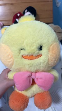 緞帶泰尼尼