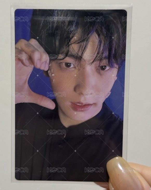 小兔貓🐱🐰