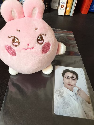 ANITEEZ壓力球貢丸+IFY滿額卡