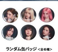 貌美成員勳章 （隨機